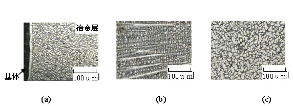  表面冶金層金相組織